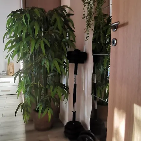 Diego Apartment Codogne